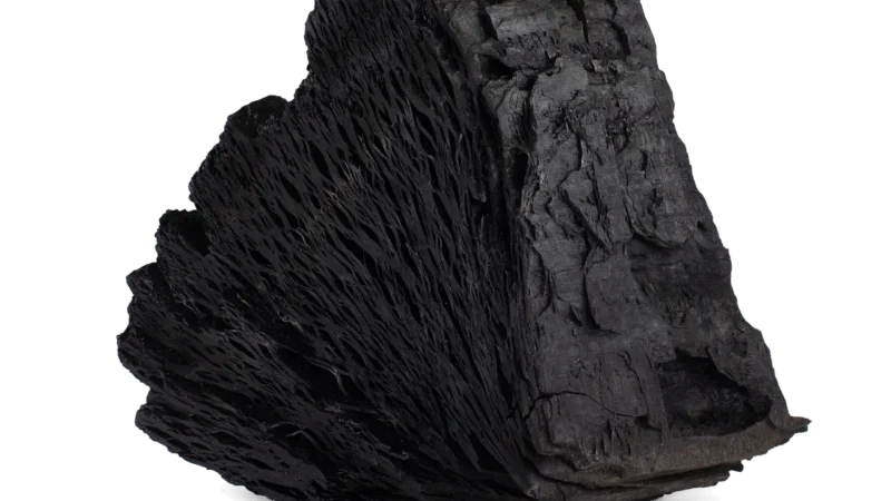 Biomus Węgiel Aktywny Pylisty W Proszku 250g