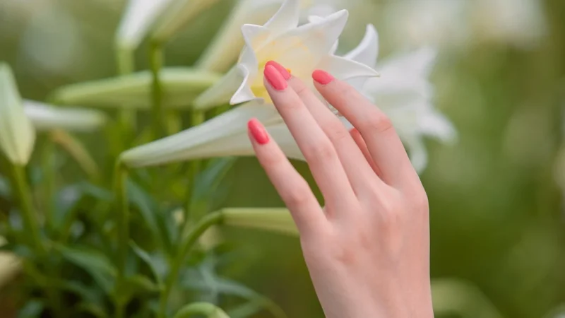 Cuccio Naturale Musujące Kulki Do Manicure Mleko I Miód 24szt.