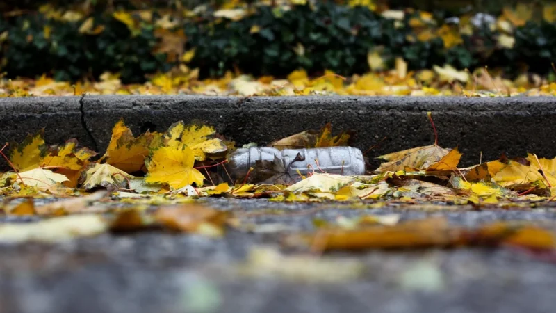 Jednorazowy skalpel (ostrze nr 20 na uchwycie)