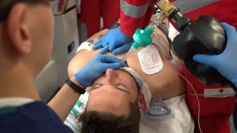 Laerdal Little Family