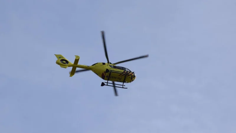 Nasco Zestaw Imitacji Ran 95 Części Na Pp00818