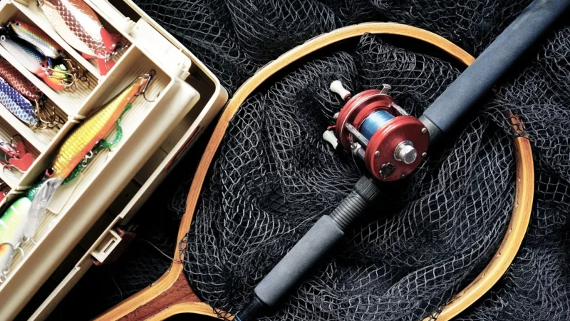 OHAUS ZACISK, PRĘT, ALUM 4 CM, CLR-RODA004