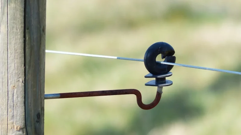 Pastuch Elektryczny Polski Elektryzator 12V/230