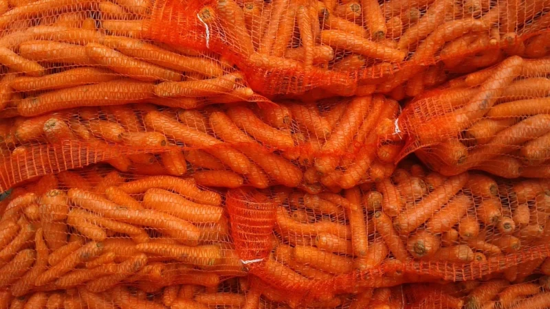 Pasza Piast Królik Tucz Cena Za Worek 25Kg Dla Kró