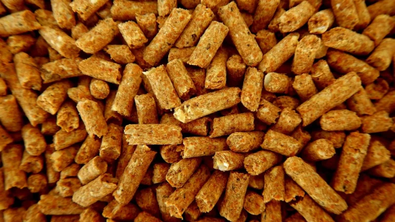PIAST PASZA OPAS 17% DLA OPASÓW BYKÓW PASZE 25KG
