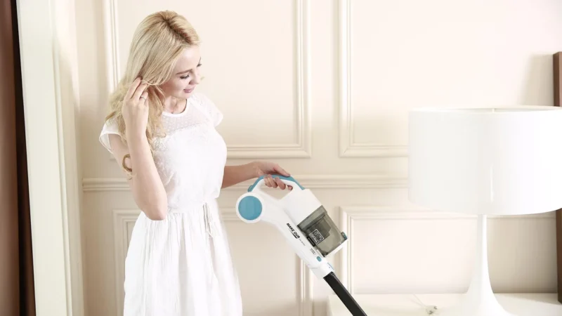 Pl Myjka Ultradźwiękowa Cd 4820 Pojemność 2,5L