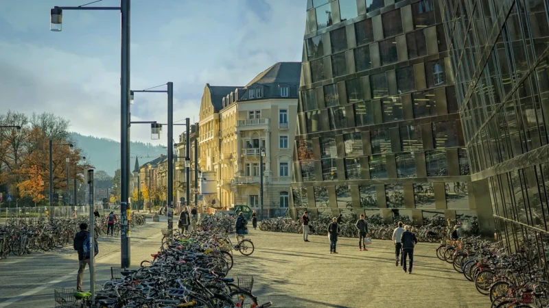 Polydent Lusterka Płaskie Rozm. 4 (22Mm) – Op. 1szt.