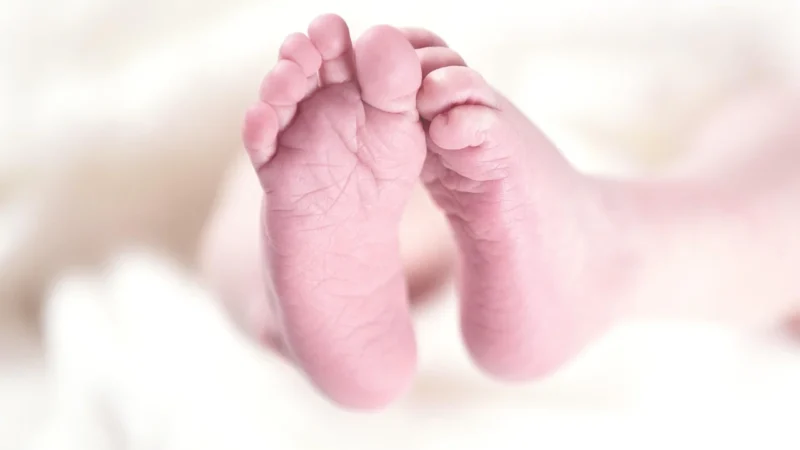 Riester Profesjonalny Stetoskop Pediatryczny Riester Duplex Baby (B20D-8796B)