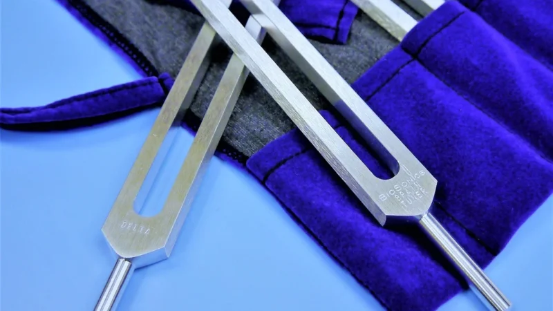 Riester Stroik z ciężarkami Stroik laryngologiczny z ciężarkami