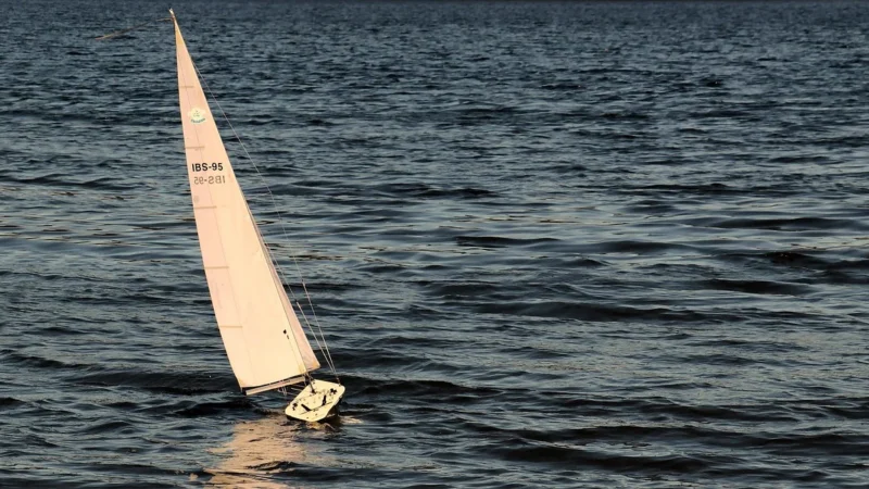 Skaler Ultradźwiękowy Model B5