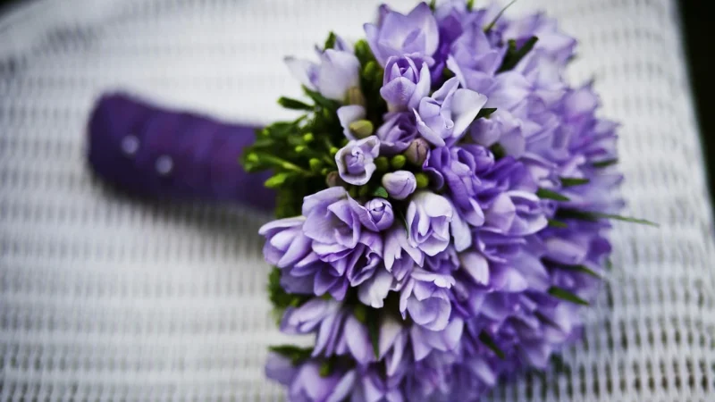 Stetoskop dwuprzewodowy MDF 767 Rappaport z dwustronną głowicą – Purple Rain (MDF8)