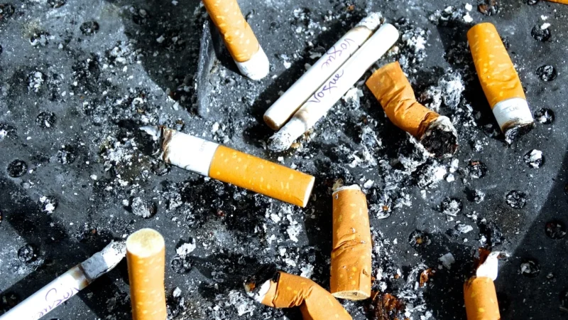 Woodpecker Końcówka Do Skalera Z Nasypem Diamen Sbdl(Satelec Nsk Dte)