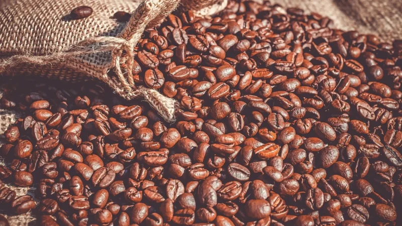 Worek Do Zbiórki Moczu Na Nogę Mocowany Z Zaworem T Zarys 600Ml